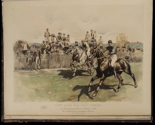 Pony Race for Polo Ponies