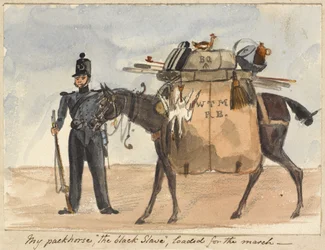 My packhorse, “the black slave”, loaded for the march, c.1854