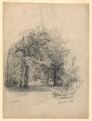 Landscape, Darmstadt, Germany