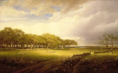 Old Orchard at Newport
