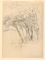 Study of Foliage
