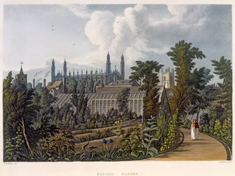 The Botanical Gardens, Cambridge, from 