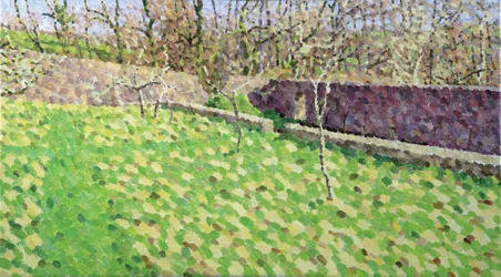 Orchard in Winter Sun