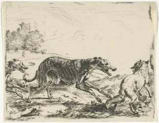 Fox and Three Dogs