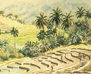 Dunhinda, Preparing the Paddy Fields