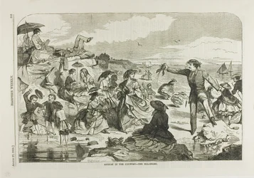 August in the Country—The Seashore