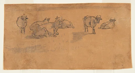 Cows in a Pasture