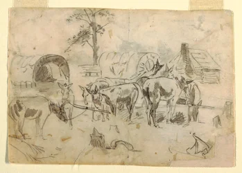 Resting Mules Tethered to Wagons, 1862