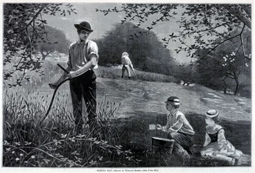 Making Hay