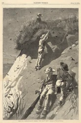 Raid on a Sand-Swallow Colony
