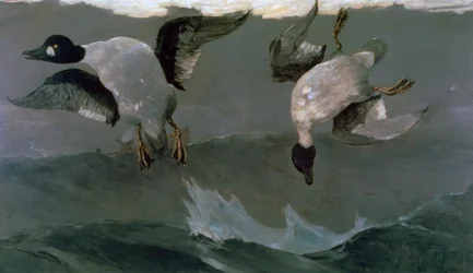 Right and Left