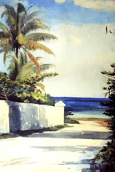 Road in Nassau, 1898-99
