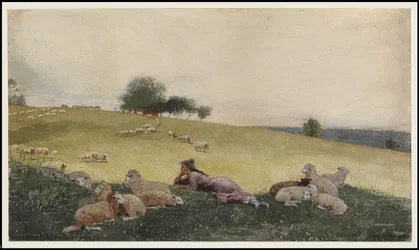 Shepherdess of Houghton Farm