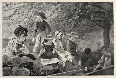 Spring Blossoms