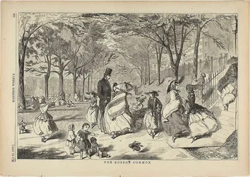 The Boston Common