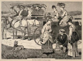 The Picnic Excursion