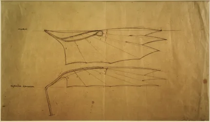 Wing of the Letatlin