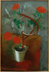 Red Flowers