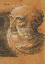Head Study, 1522