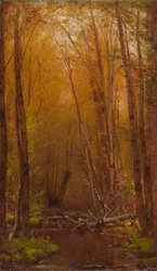 The Birches of the Catskills