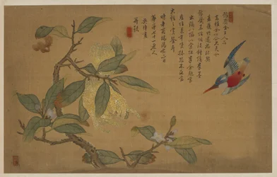 Bird, Fruit, and Flowers