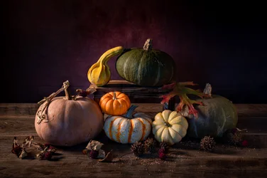Autumn Harvest Pumpkins