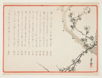 Plum Blossoms