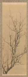 Plum Blossoms