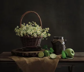 Rustic Daisy Still Life