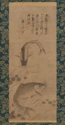 Carp and Waterweeds