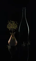 Elegant Dark Still Life