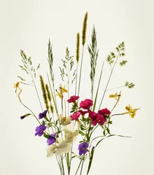 Vibrant Meadow Bouquet