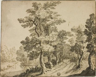 Road through Leafy Trees near Stream