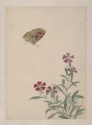 Birds, Insects and Flowers