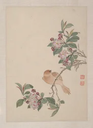 Birds, Insects and Flowers