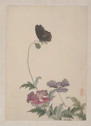 Birds, Insects and Flowers
