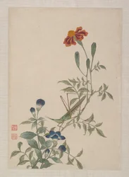 Birds, Insects and Flowers