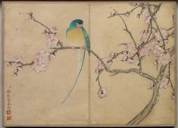 Desk Album: Flower and Bird Paintings Bird with Plum Blossoms
