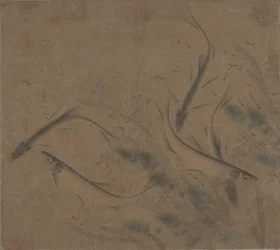 Fish at play