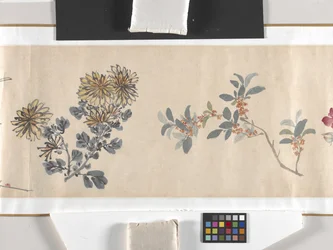 Coloured Flowers