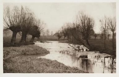 A Backwater on the Lea