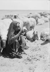 A young bedouin shepherdess spinning near Beersheba