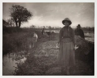 Arable Farming, Harvesting 