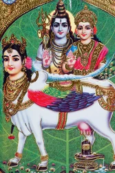 Hindu god Shiva and goddess Parvati.