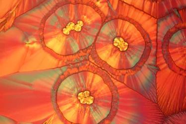 Micrographs (Light) Ascorbic Acid, Light Micrograph