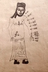 Museum of Traditional Vietnamese Medicine, The channels and vessels, Book of acupuncture, Ho Chi Minh City, Vietnam