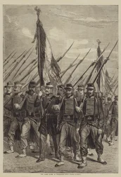 The Flags borne in Procession