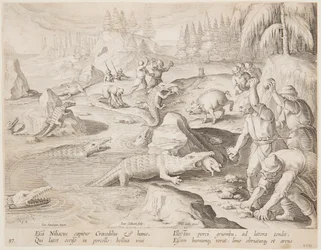 Crocodile Hunt