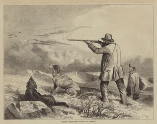 Grouse Shooting