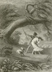 The Oak and the Reed